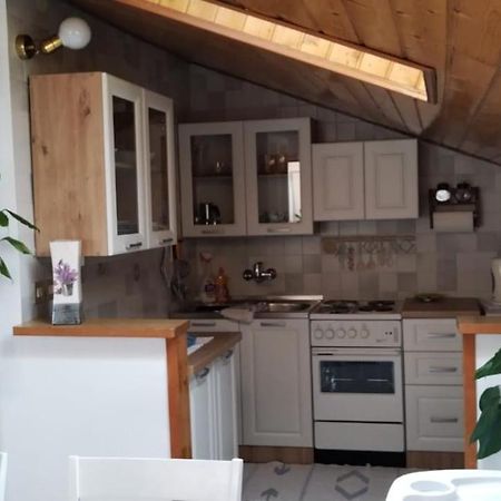 Apartment Gaudeamus Umag Bagian luar foto