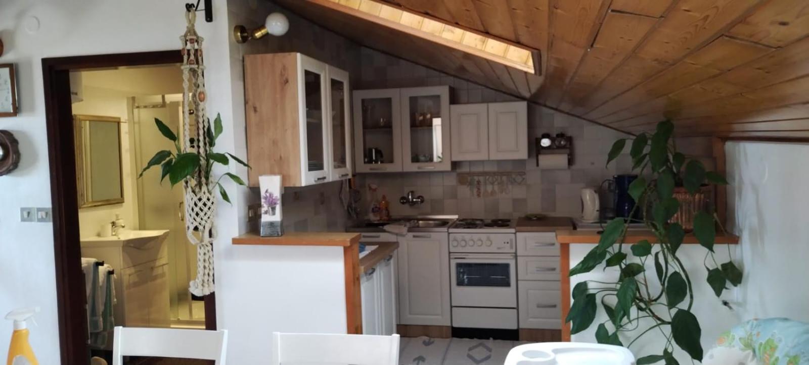 Apartment Gaudeamus Umag Bagian luar foto
